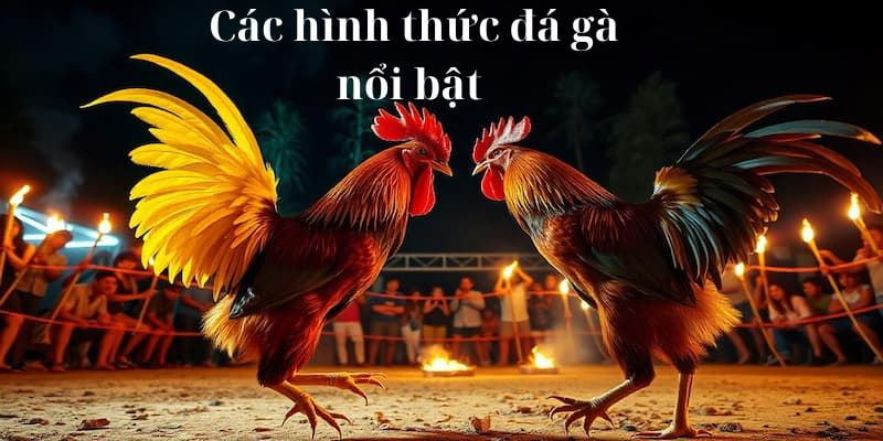 Người chơi có thể lựa chọn các hình thức cược phù hợp với bản thân