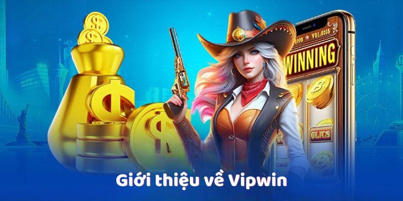 Giới thiệu về Vipwin